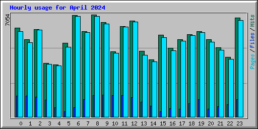 Hourly usage for April 2024