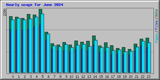 Hourly usage for June 2024