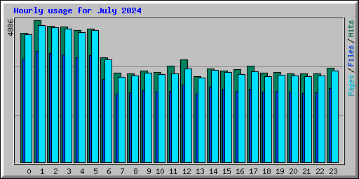 Hourly usage for July 2024